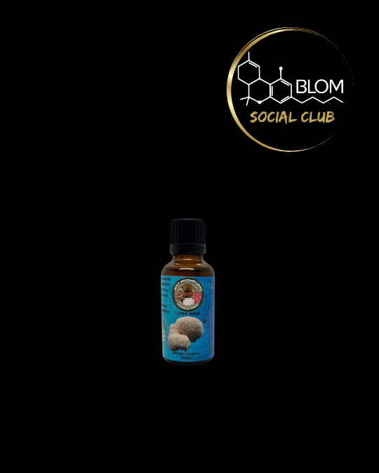 Lions mane tincture